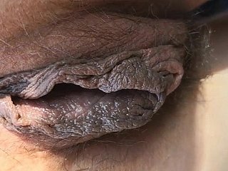 여행을위한 유료