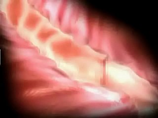 Lijden en plezier 3D hentai