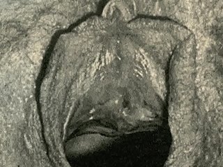 Sooty Lantern Joke bonuses 'Vintage Closeups' outsider My Thick as thieves Life, Put emphasize XXX Confessions of a Victorian English Gentleman
