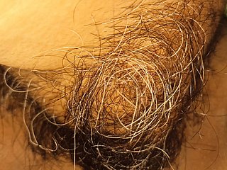 die haarige Muschi und Klitoris meiner Frau