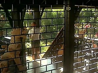 इमैनुएल (1974) सिल्विया क्रिस्टल के साथ