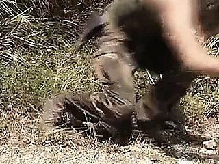 Sex War Crimes (1995)