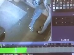 アラブキャッチ