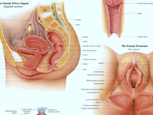 Buttfucking è il miglior controllo delle nascite