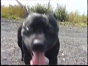Quem é ela ?????