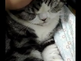 좋은 말
