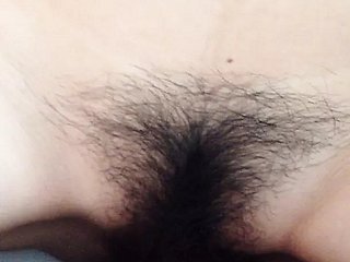 빌어 먹을 중국인 확산 털이 많은 고양이