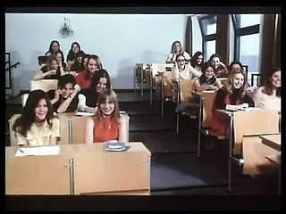舒尔马德陈报告 2 (1971)