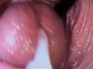 شاعر المليون / CREAMPIE تجميع